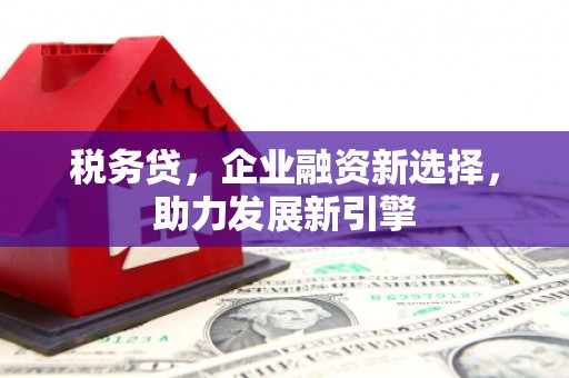 锡林郭勒税务贷，企业融资新选择，助力发展新引擎