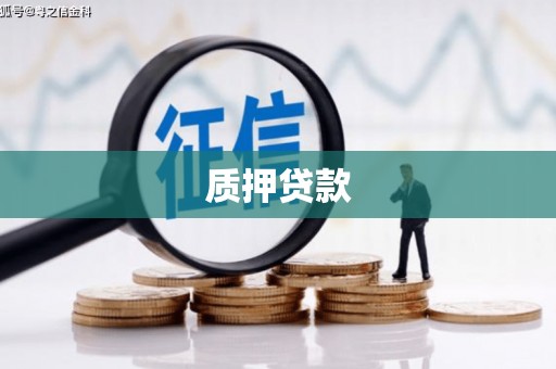 锡林郭勒质押贷款
