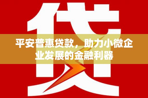 锡林郭勒平安普惠贷款，助力小微企业发展的金融利器