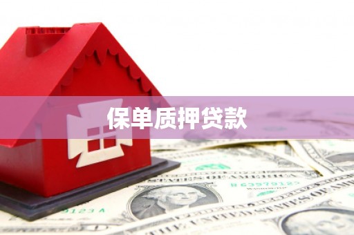 锡林郭勒保单质押贷款