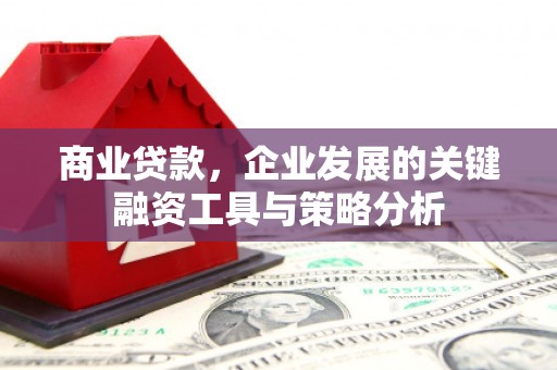 锡林郭勒商业贷款，企业发展的关键融资工具与策略分析