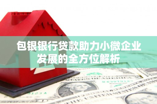 锡林郭勒包银银行贷款助力小微企业发展的全方位解析