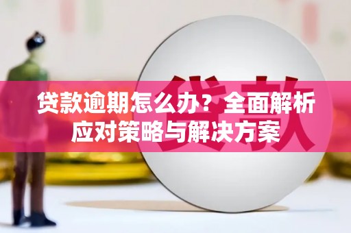 锡林郭勒贷款逾期怎么办？全面解析应对策略与解决方案