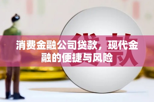 锡林郭勒消费金融公司贷款，现代金融的便捷与风险