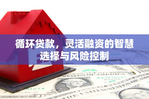 锡林郭勒循环贷款，灵活融资的智慧选择与风险控制