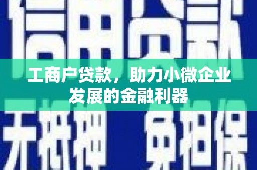 锡林郭勒工商户贷款，助力小微企业发展的金融利器