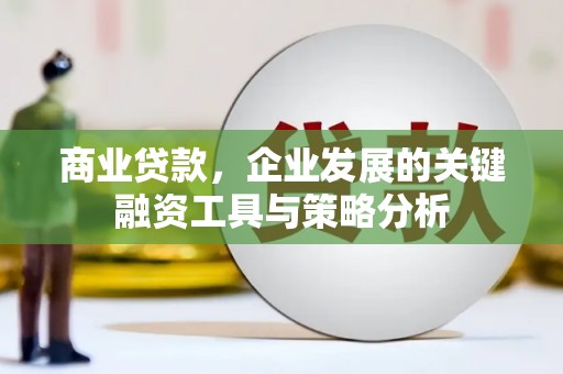 锡林郭勒商业贷款，企业发展的关键融资工具与策略分析