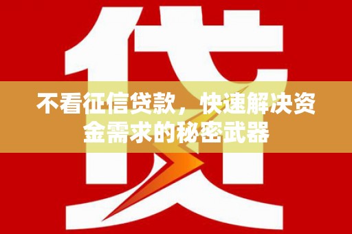 锡林郭勒不看征信贷款，快速解决资金需求的秘密武器