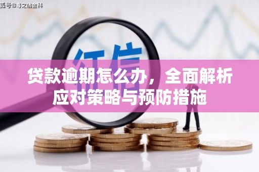 锡林郭勒贷款逾期怎么办，全面解析应对策略与预防措施