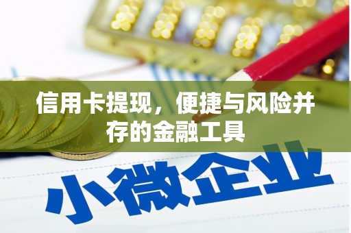 锡林郭勒信用卡提现，便捷与风险并存的金融工具