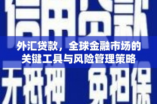 锡林郭勒外汇贷款，全球金融市场的关键工具与风险管理策略