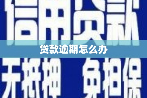 锡林郭勒贷款逾期怎么办