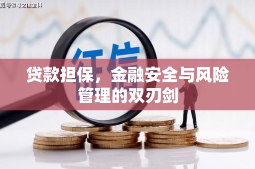 锡林郭勒贷款担保，金融安全与风险管理的双刃剑