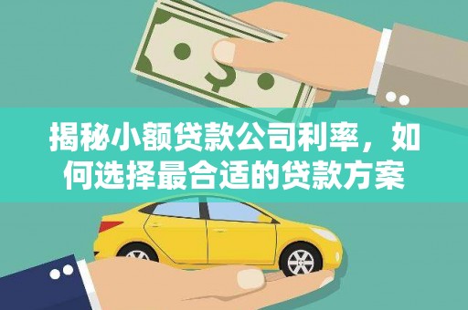 锡林郭勒揭秘小额贷款公司利率，如何选择最合适的贷款方案
