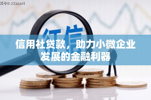 锡林郭勒信用社贷款，助力小微企业发展的金融利器