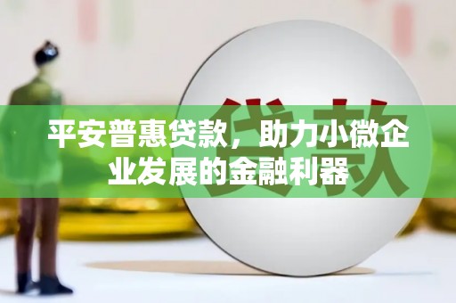 锡林郭勒平安普惠贷款，助力小微企业发展的金融利器