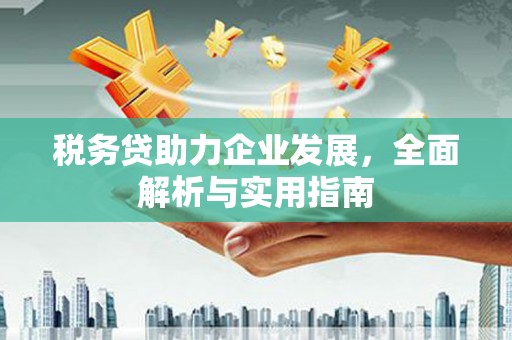 锡林郭勒税务贷助力企业发展，全面解析与实用指南