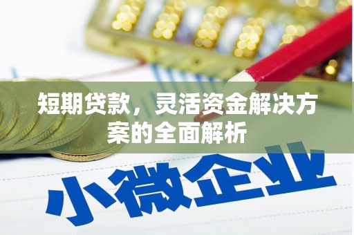 锡林郭勒短期贷款，灵活资金解决方案的全面解析